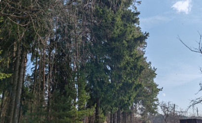 Купить дачу, Лятохи, Луческая, 5 соток. Фото 28