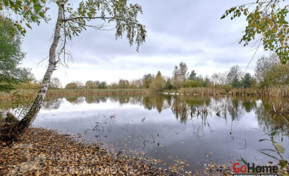 Купить дом, Озеро, Минская ул., 11.18 соток. Фото 21