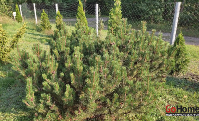 Купить коттедж, Свериново, 25 соток. Фото 36