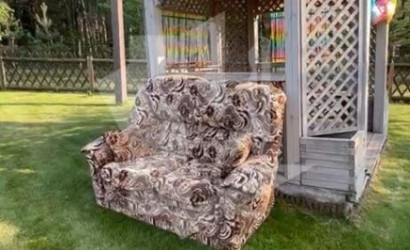 Купить дом в деревне, Строитель-ремонтник, 8 соток. Фото 3