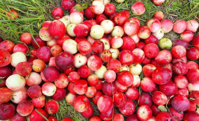 Купить дом в деревне, Загорье-1, 9.8 соток. Фото 8