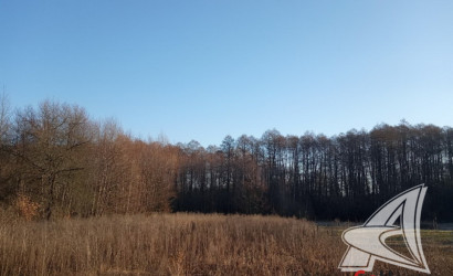 Купить дом в деревне, Изобелин, Хидринский с/с, 25 соток. Фото 27