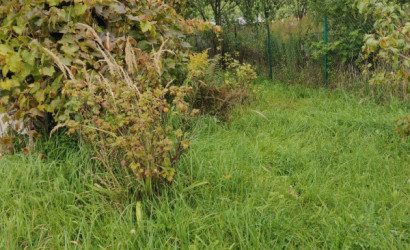 Купить участок, Молодечно, СТ Рамонак-МАЗ уч.41, 10 соток. Фото 6