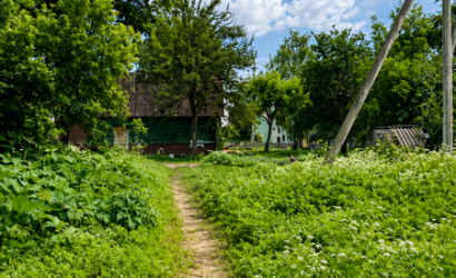 Купить участок, Новый Двор, Речная, 50, 24 соток. Фото 13