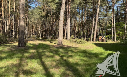 Продажа помещения под сферу услуг, Дивин,  349.3 кв.м.. Фото 3