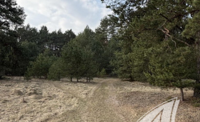 Купить участок, Дубица, Домачевский с/с, 24.9 соток. Фото 5