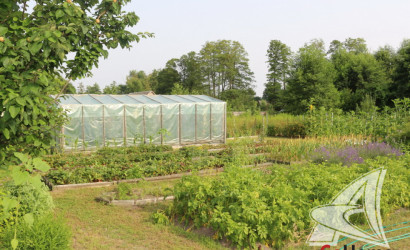 Купить дом, Леплевка, Домачевский с/с, 25 соток. Фото 38