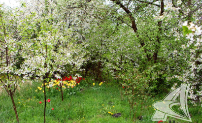 Купить участок, Брест, Чернинский с/с, 5.31 соток. Фото 2