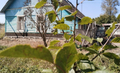 Купить дом, Осиновка, 1-й Осиновский, 3, 24.99 соток. Фото 10