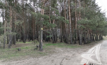 Купить дачу, Брест, Чернавчицкий с/с, 8 соток. Фото 20