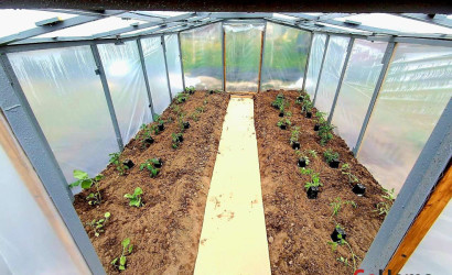 Купить участок, Яловица, СТ \\\\\\\