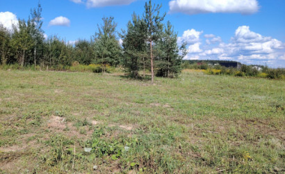 Купить участок, Смолевичи, Тадеуша Костюшко 19, 16.58 соток. Фото 3