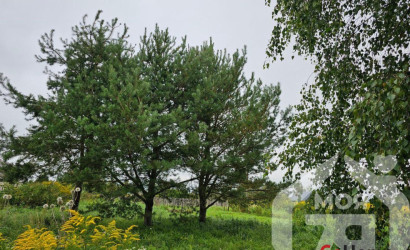 Купить участок, Зрок-2, 11.1 соток. Фото 5