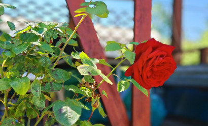 Купить дом в деревне, ЛЕСНОЕ-90, Сиреневая, 160, 8.92 соток. Фото 31