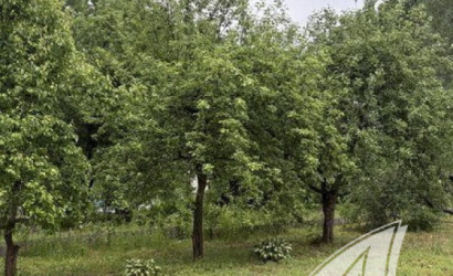Купить дачу, Брест, Мотыкальский с/с, 5.11 соток. Фото 15