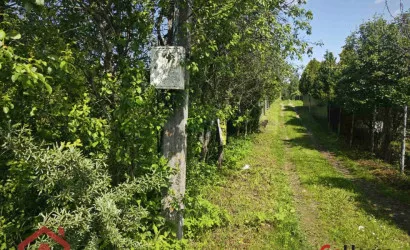  Поляна