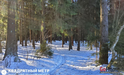 Купить дом в деревне, Узборье, 6.27 соток. Фото 41