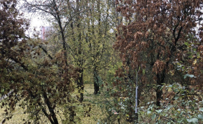 Купить 3-комнатную квартиру, Витебск, ул. Московский проспект , д. 38. Фото 2