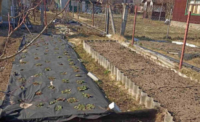 Купить дачу, СТ Мираж-95, 6.09 соток. Фото 13