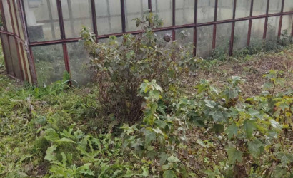 Купить дом в деревне, Верас-81, 5.48 соток. Фото 15