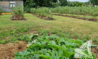 Купить дом, Рыбна, Киселевецкий с/с, 25 соток. Фото 6