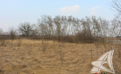 Купить участок, Зеленец, Чернавчицкий с/с, 48.97 соток. Фото 5