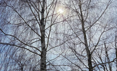 Купить дом, Малиновка, Центральная, 17.68 соток. Фото 4