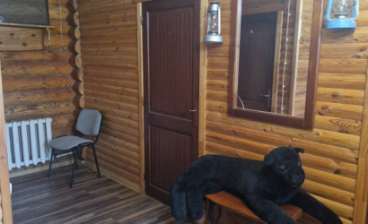 Снять 2-комнатную квартиру на сутки, Толочин, Оршанская 27. Фото 4