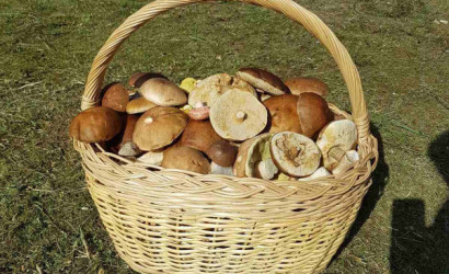 Купить дом, Потино, 12.1 соток. Фото 15