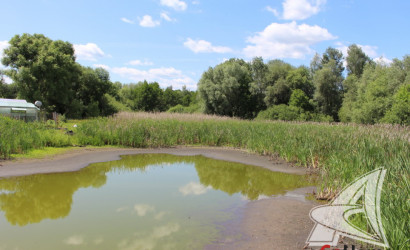 Купить дом, Брест, Речица, 6 соток. Фото 21