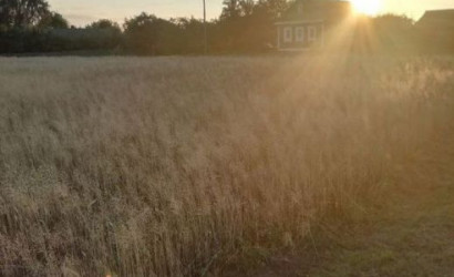 Купить дом, Борки, ул.Центральная д.31, 25 соток. Фото 8