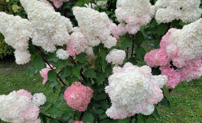 Купить дом, Быхов, ул Куйбышева дом 45, 8 соток. Фото 18