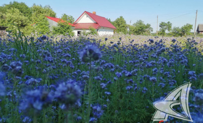 Купить дом в деревне, Поддубно, Шеневской с/с, 25 соток. Фото 4