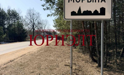 Купить участок, Морино, Центральная, 25 соток. Фото 1