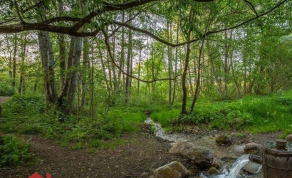 Купить участок, Поляна, 9 соток. Фото 13