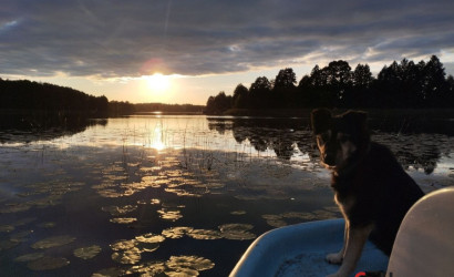 Купить дом, Поземщина, Центральная, 30, 40.7 соток. Фото 58
