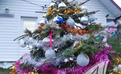 Купить дом в деревне, Поддубно, Шеневской с/с, 25 соток. Фото 19