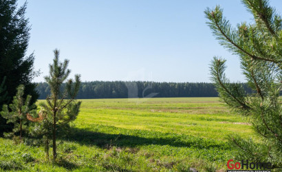 Купить дом, Бакиново, Новая ул., 74 соток. Фото 46