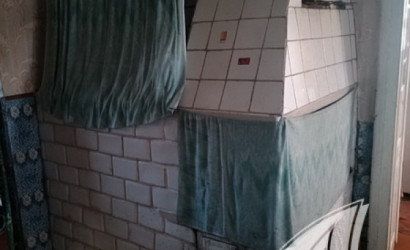 Купить дом в деревне, Горошковка 1, Каменюкский с/с, 25 соток. Фото 15