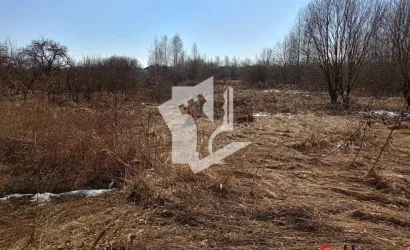  1-этаж., Капские