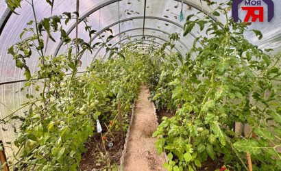 Купить дом, Слобода, Центральная ул., 25 соток. Фото 21