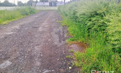  Сеница