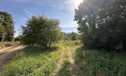 Купить дом, Дворец, 25 соток. Фото 6