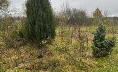 Купить дом, Ермаки, 21 соток. Фото 10