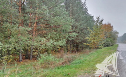 Купить дом, Франополь, Радваничский с/с, 18 соток. Фото 29