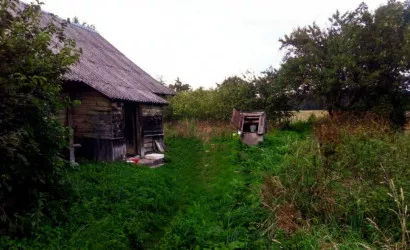  1-этаж.(59.6 м2), Еди(Еди 6)