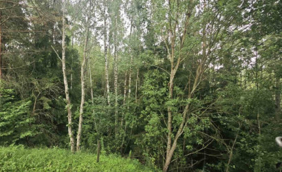 Купить участок, Мончаки, Лесная, 15 соток. Фото 18