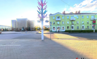 Купить дом, Слуцк, Плиева ул., 17, 8.88 соток. Фото 7