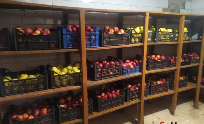 Купить коттедж, Ольгово, Садовая, 43, 24.6 соток. Фото 21