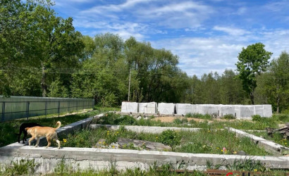 Купить дом, Нарейки, Центральная ул., 25 соток. Фото 7